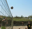 Volejbal